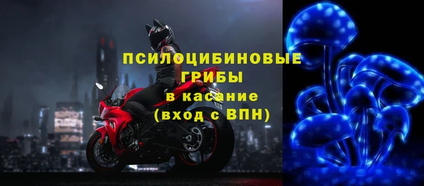 тгк Пролетарск