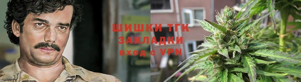 тгк Пролетарск