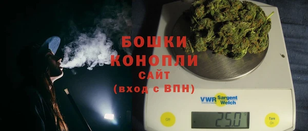 дмт Протвино