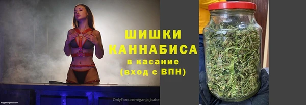 дмт Протвино
