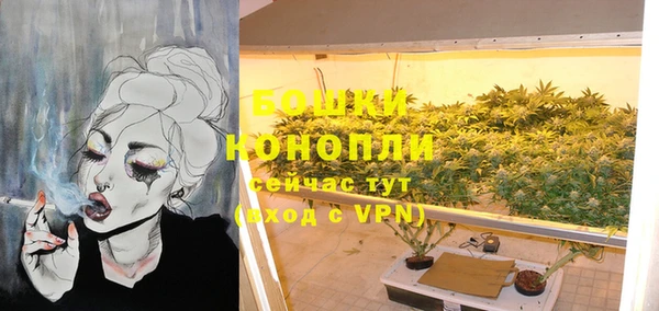 дмт Протвино