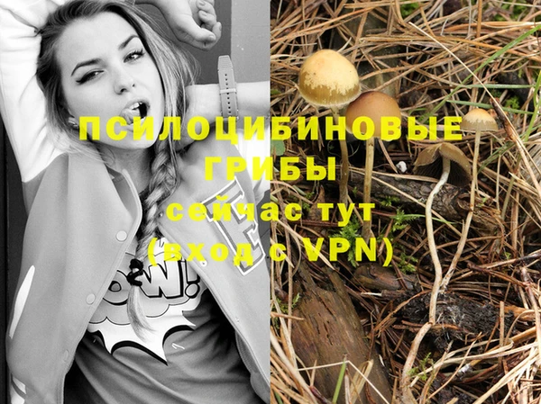 тгк Пролетарск
