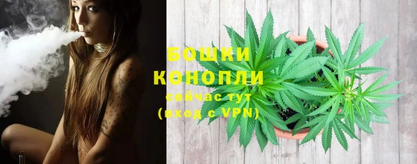 дмт Протвино
