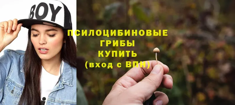 Галлюциногенные грибы MAGIC MUSHROOMS  Черногорск 