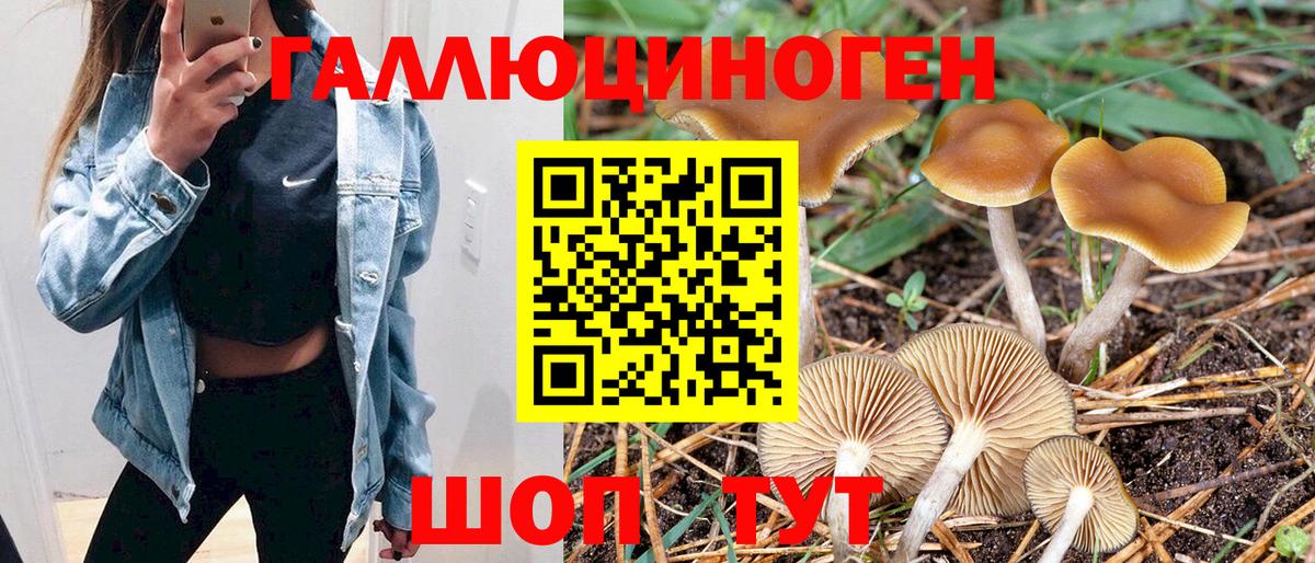 Псилоцибиновые грибы Psilocybine cubensis  Псилоцибиновые грибы Magic Shrooms  Вход с VPN  Черногорск 
