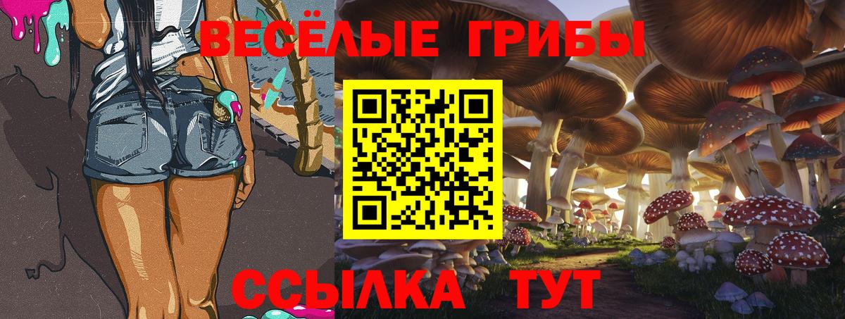 Галлюциногенные грибы MAGIC MUSHROOMS Черногорск