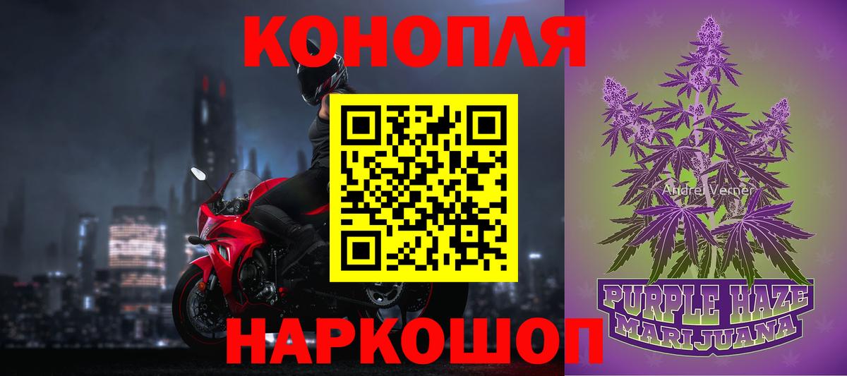 Марихуана Bruce Banner  Канабис семена  Вход с VPN  Шишки марихуана план  Черногорск 